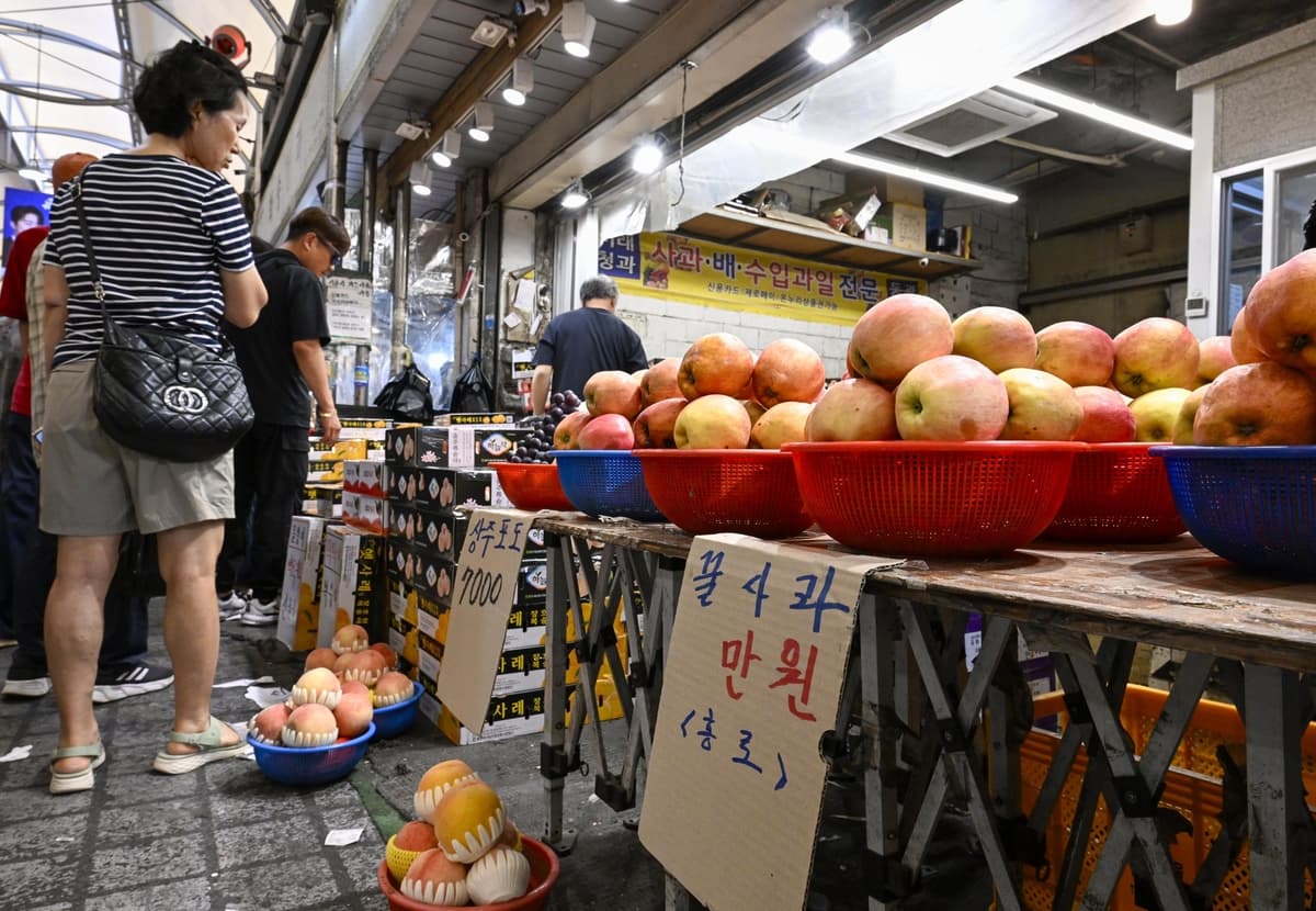 [단독]캠코, 올해 부채비율 350%…잇단 빚탕감에 건전성 ‘빨간불’