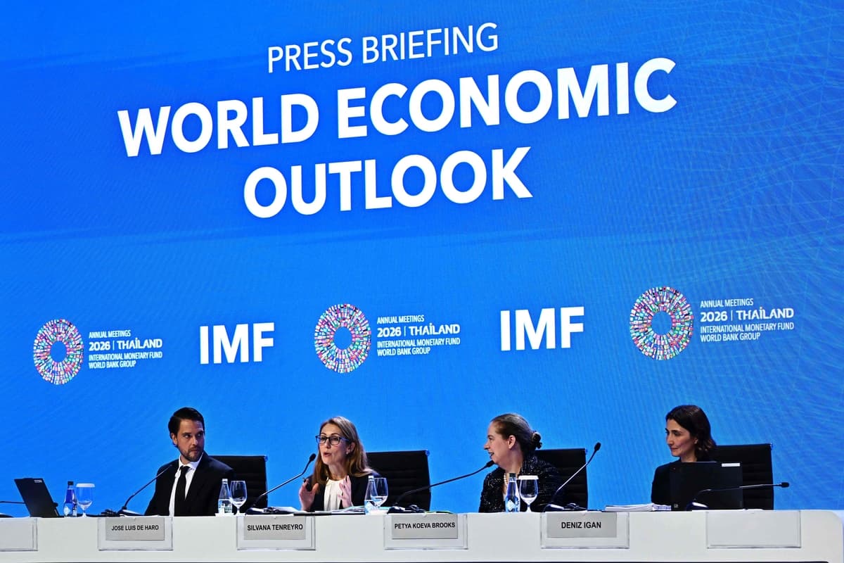 IMF가 성장률 3.3% 상향과 함께 꺼낸 초과세수 비축 권고의 이유