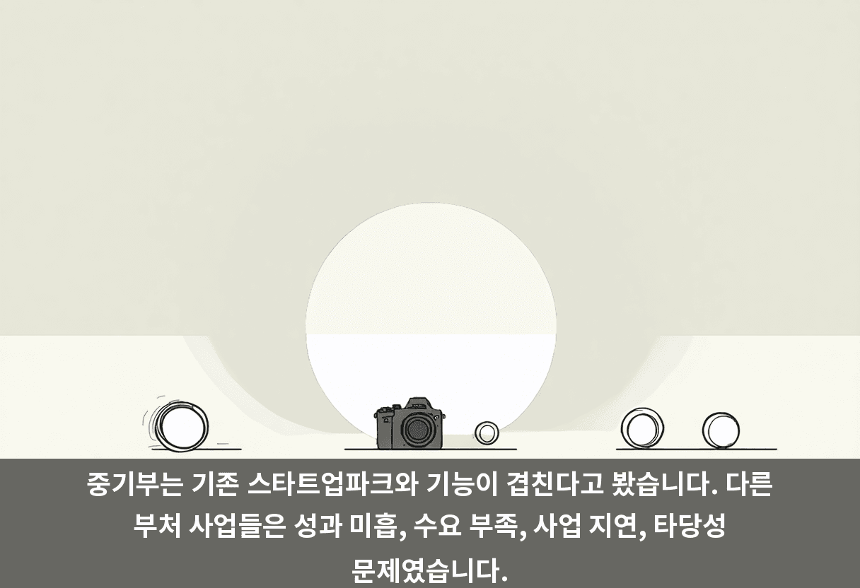 중기부는 기존 스타트업파크와 기능이 겹친다고 봤습니다. 다른 부처 사업들은 성과 미흡, 수요 부족, 사업 지연, 타당성 문제였습니다.