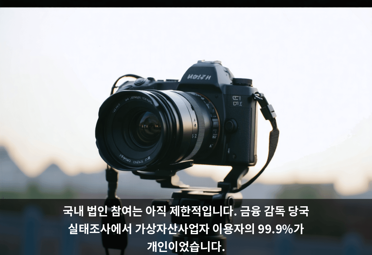 국내 법인 참여는 아직 제한적입니다. 금융 감독 당국 실태조사에서 가상자산사업자 이용자의 99.9%가 개인이었습니다.