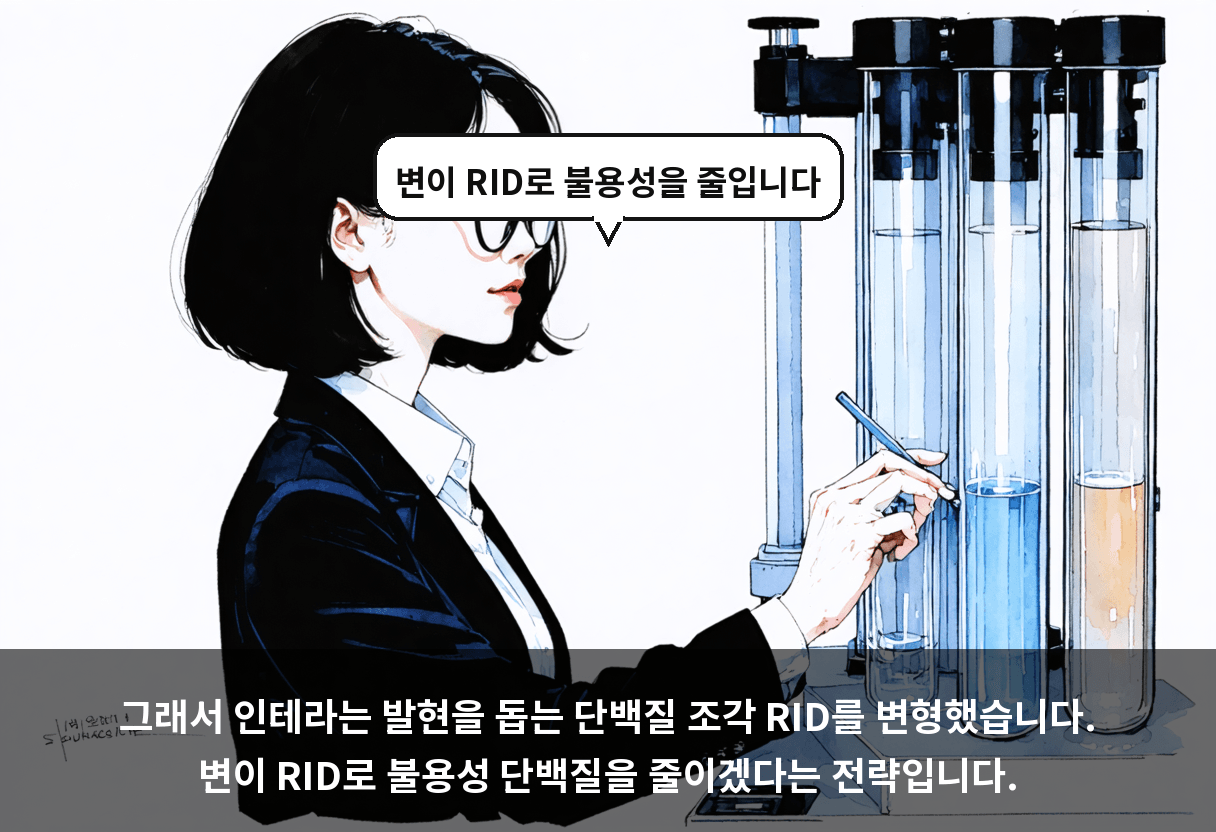 그래서 인테라는 발현을 돕는 단백질 조각 RID를 변형했습니다. 변이 RID로 불용성 단백질을 줄이겠다는 전략입니다.