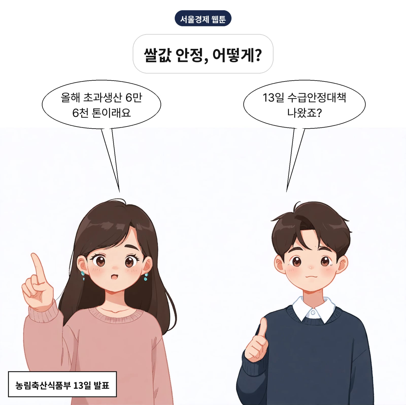 농식품부가 13일 2026년산 쌀 수급안정대책을 발표했다