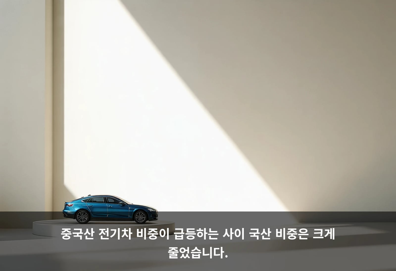 중국산 전기차 비중이 급등하는 사이 국산 비중은 크게 줄었습니다.